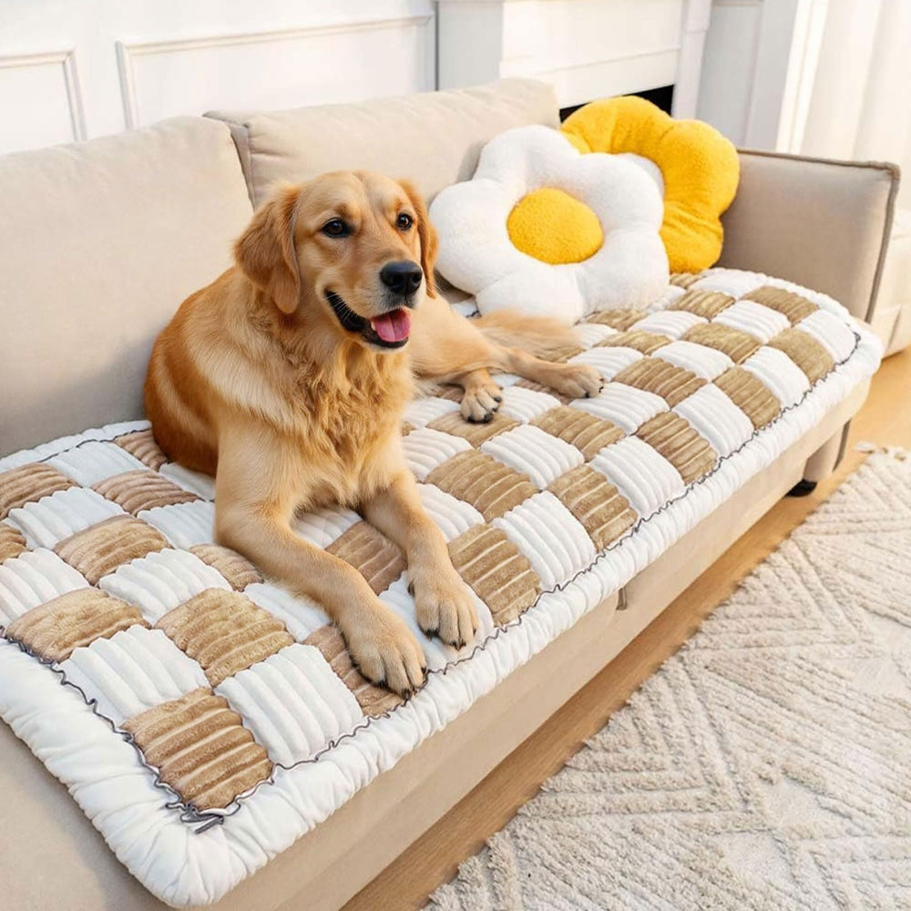 LiveGo funda para sofá de perros lavable facilita la limpieza tras juegos y travesuras.