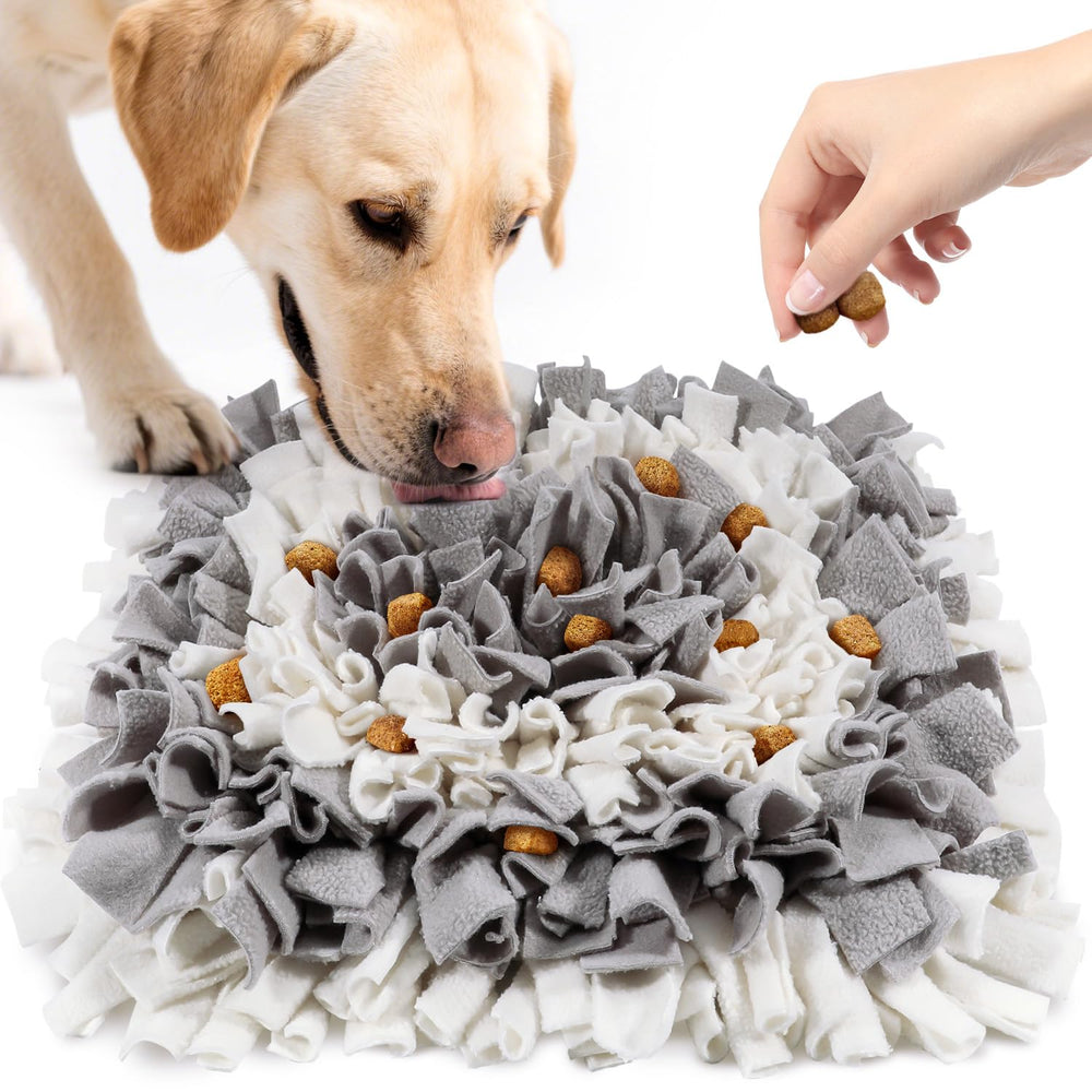LIVEKEY Alfombra olfativa para perros en gris y blanco, estimula el olfato durante el juego.