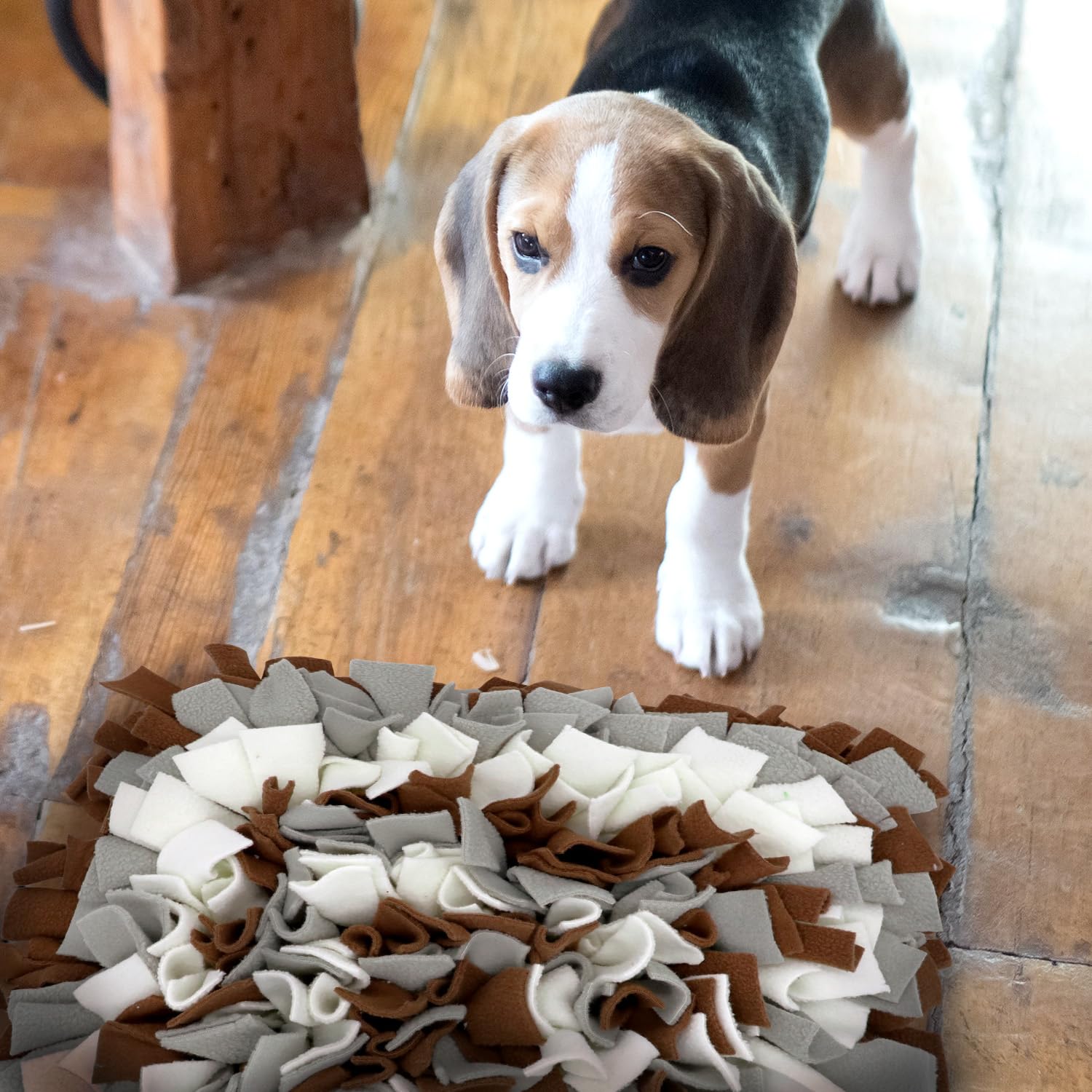 LIVEKEY alfombra de olfato, materiales seguros y duraderos para mascotas curiosas.