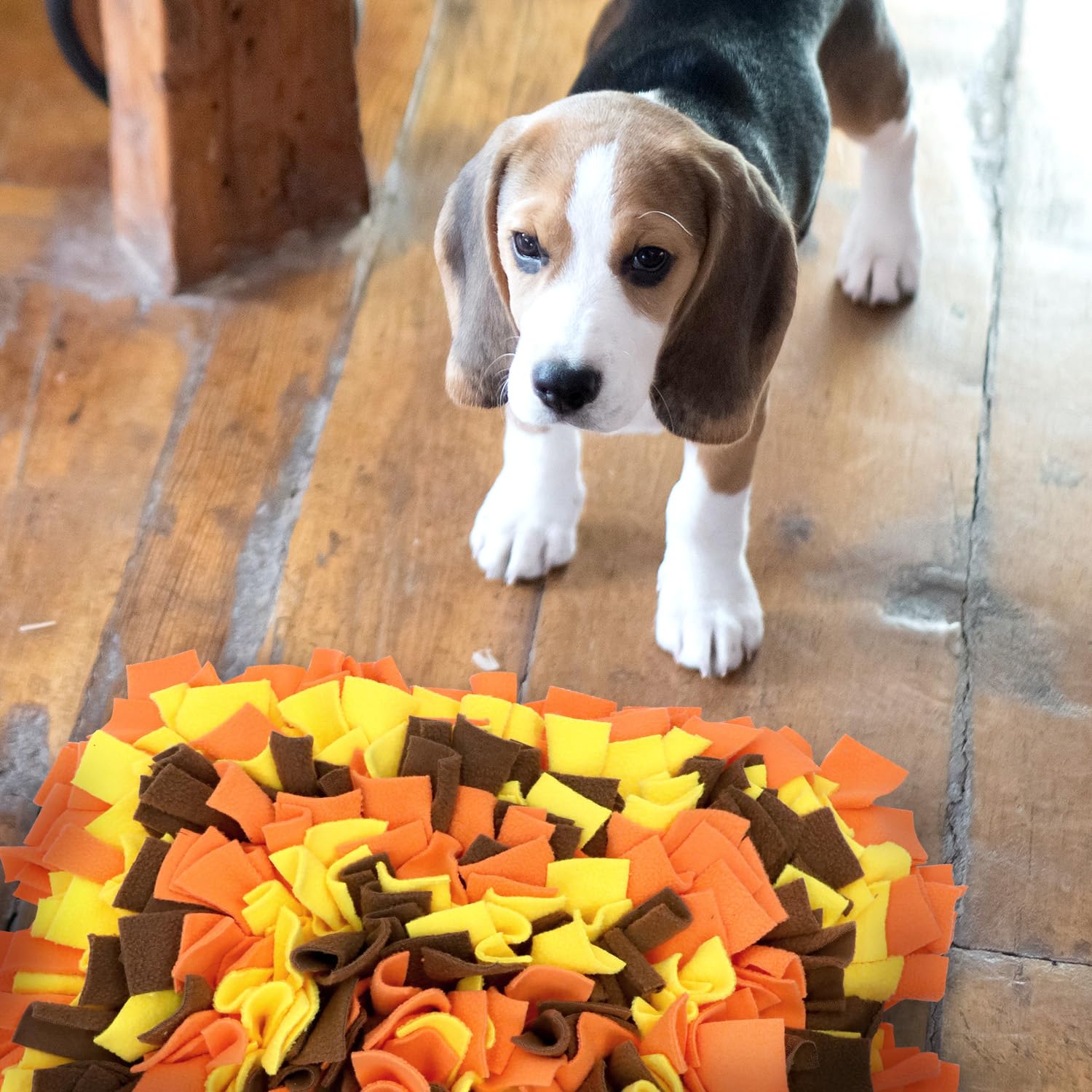LIVEKEY Alfombra olfato perros resistente a rasguños para juego activo