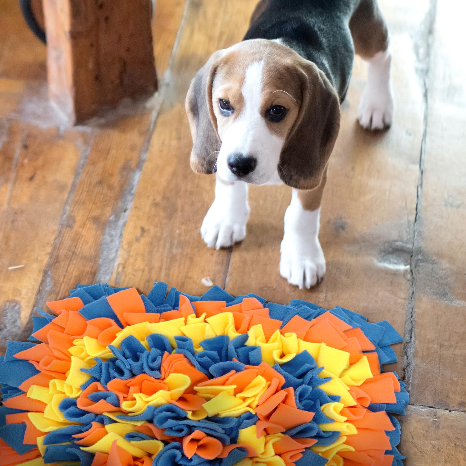 Alfombra multi-mascotas LIVEKEY, perfecta para hogares con varios perros.