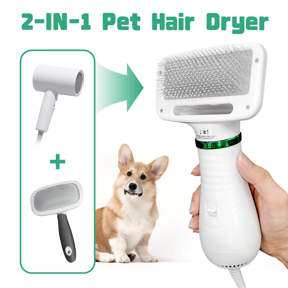LIVEKEY secador para perros con motor de bajo ruido para sesiones tranquilas