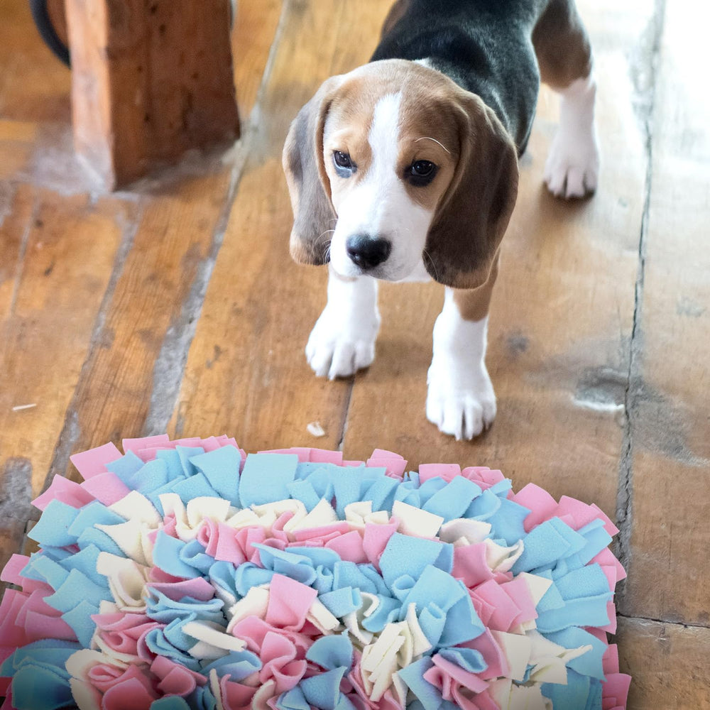LIVEKEY versátil para perros y otras mascotas que aman forrajear.