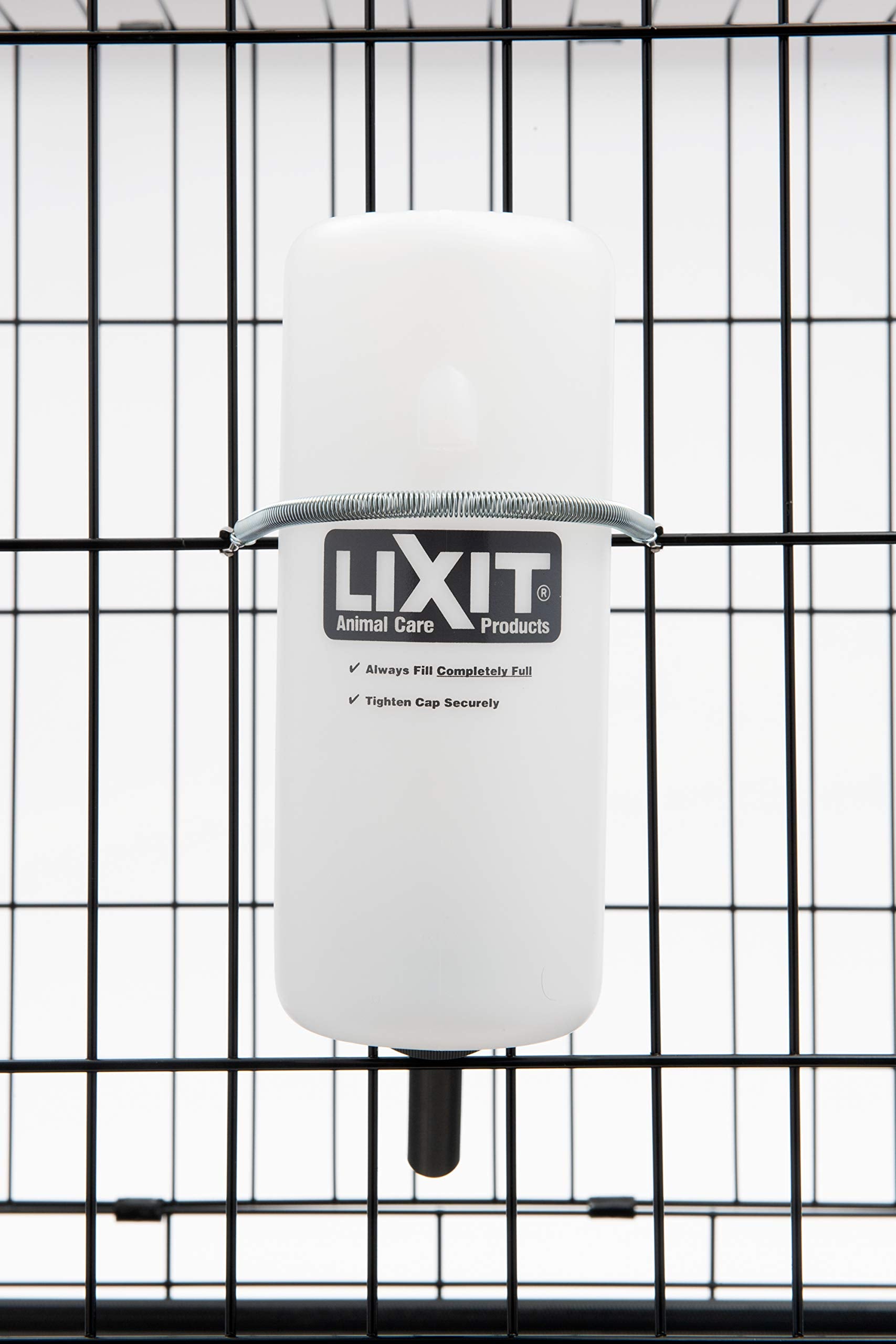 Lixit botella de 32 onzas para sesiones de juego y paseo.