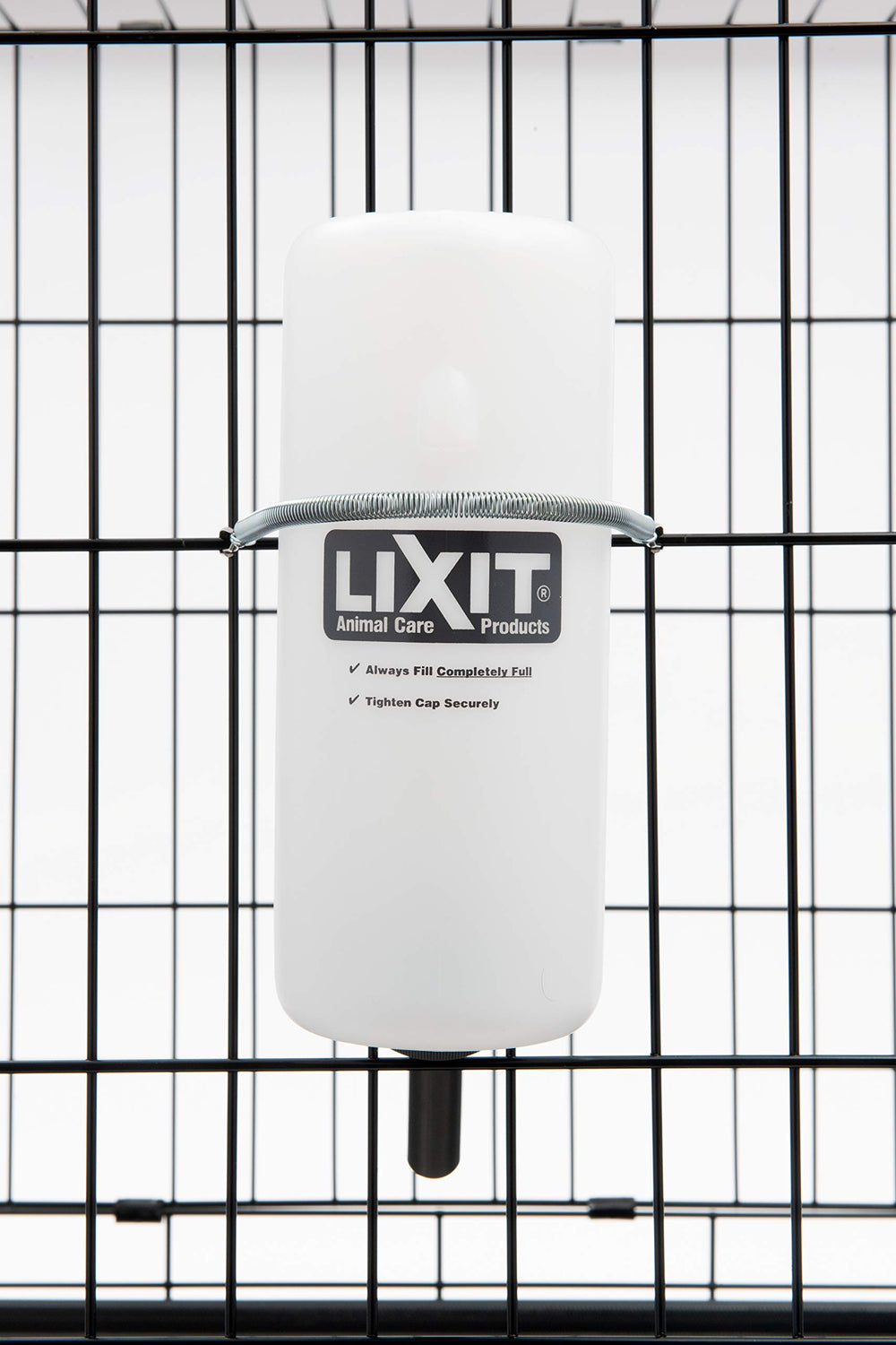 Lixit botella de 32 onzas para sesiones de juego y paseo.