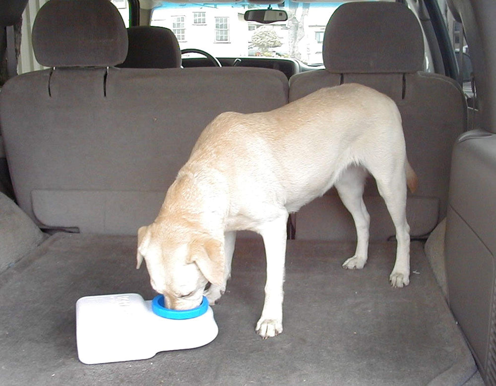 Lixit Water Boy apto para gatos y perros para hidratación diaria.