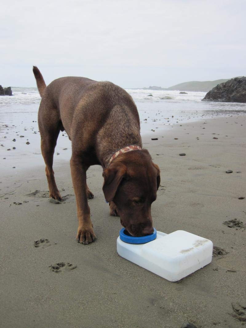 Lixit Water Boy sin BPA, opción segura para beber de mascotas.