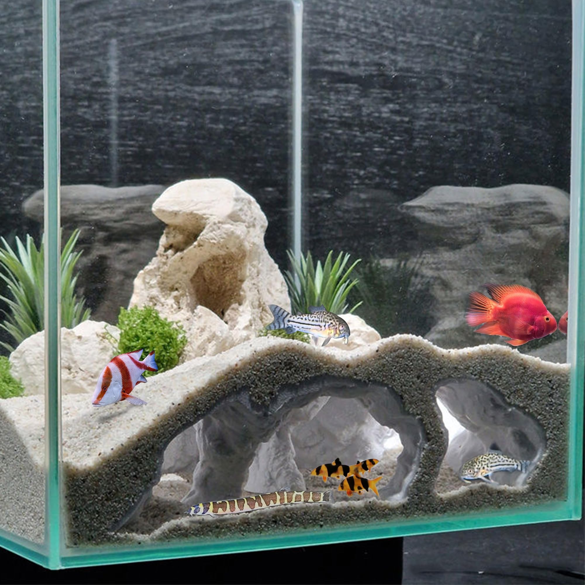 LIYAOLI Cueva Acuario 3D, limpieza fácil para mantenimiento sencillo.