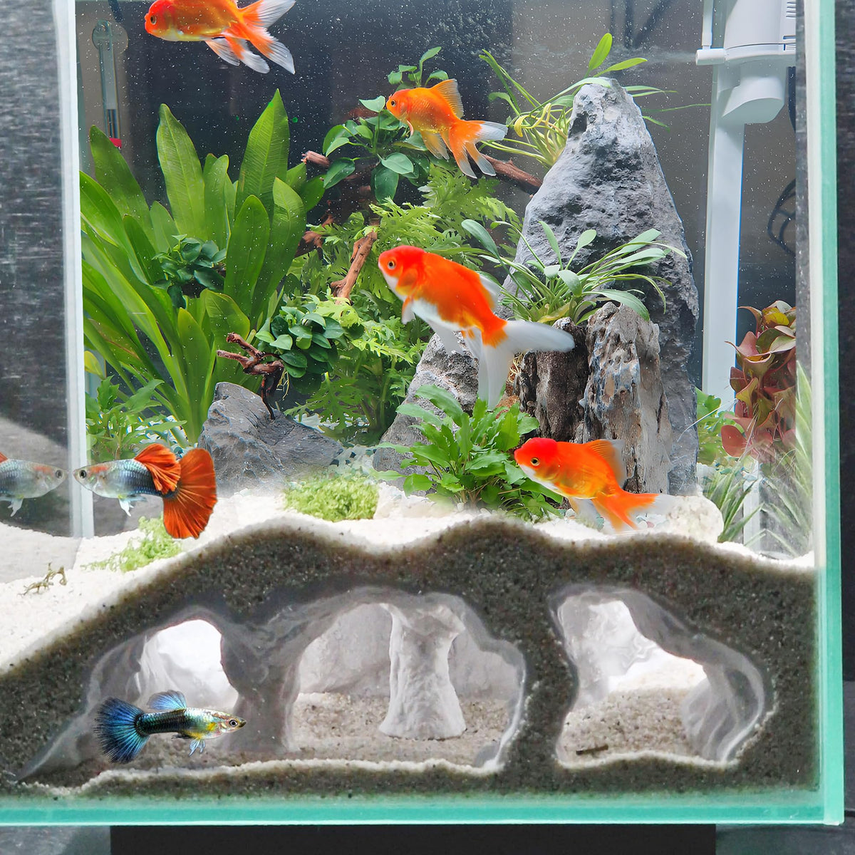 LIYAOLI cueva de acuario con vision panoramica para observar peces con claridad