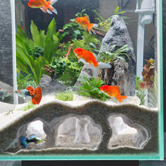 LIYAOLI cueva de acuario con vision panoramica para observar peces con claridad