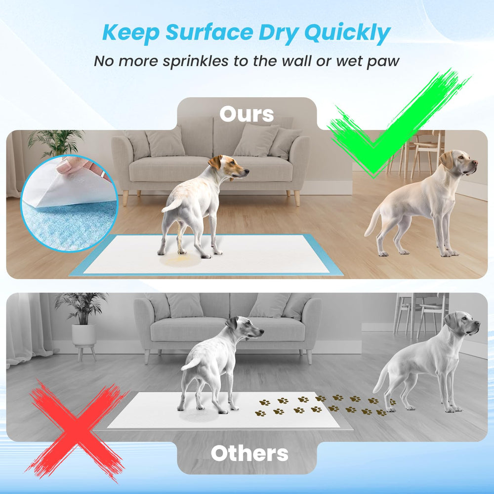 Uso múltiple LIYINGSER para perros, gatos y otras mascotas en casa.