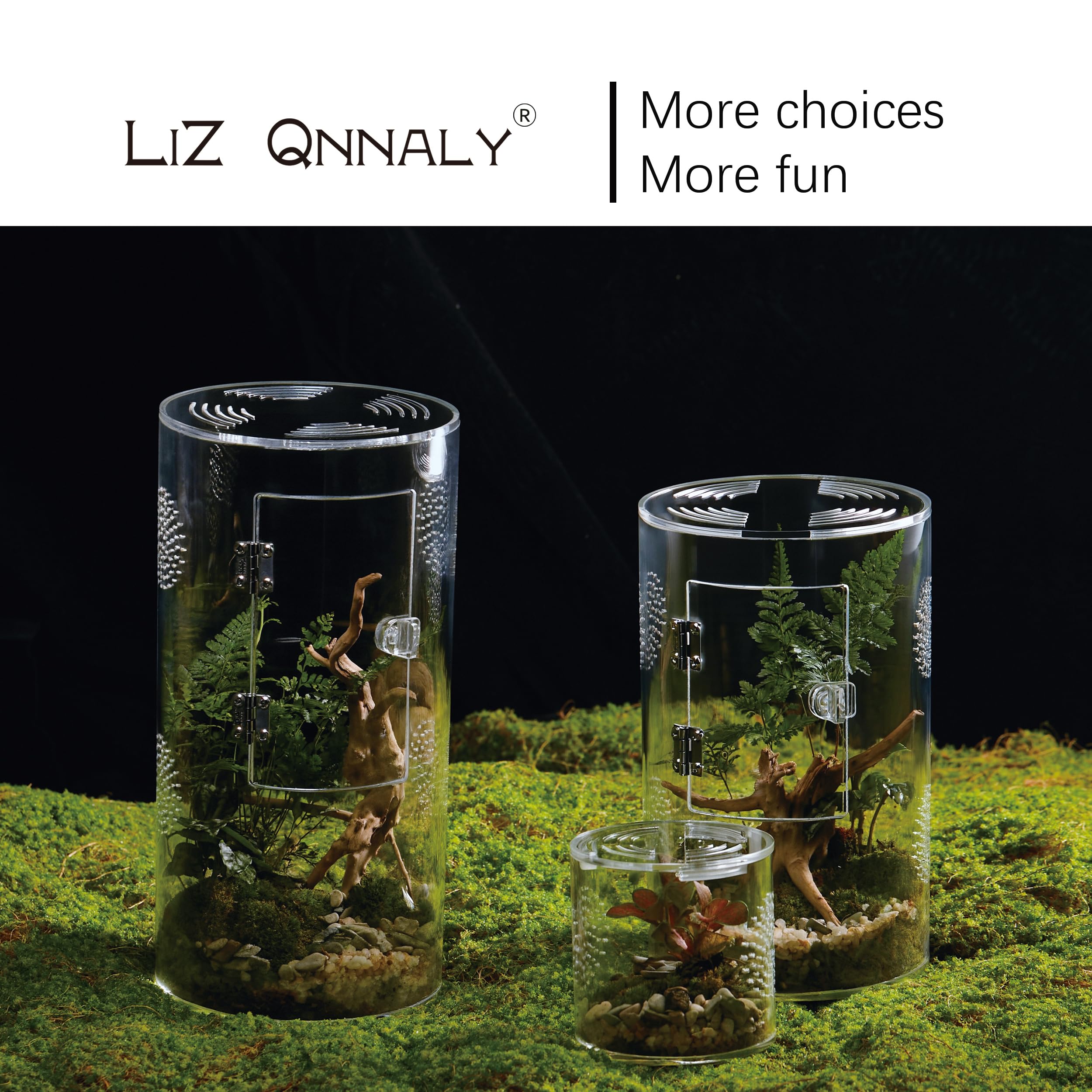Liz QNNALY terrario acrílico, diseño fácil de limpiar y apilable.