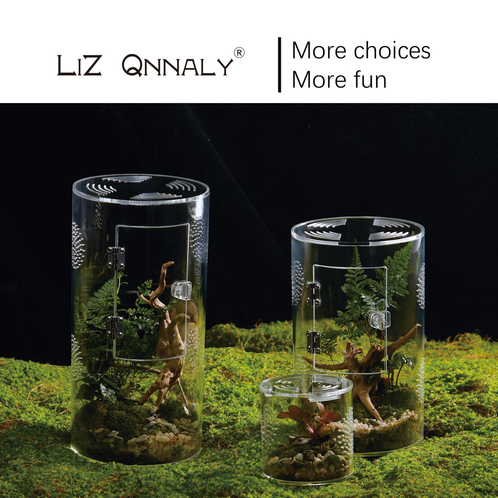 Liz QNNALY terrario acrílico, diseño fácil de limpiar y apilable.