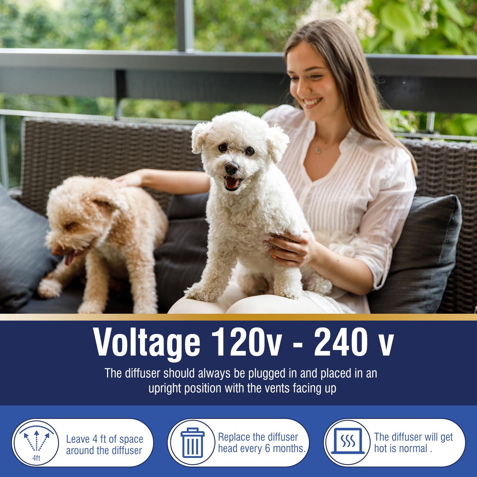 Sala hogareña con perro tranquilo gracias al difusor