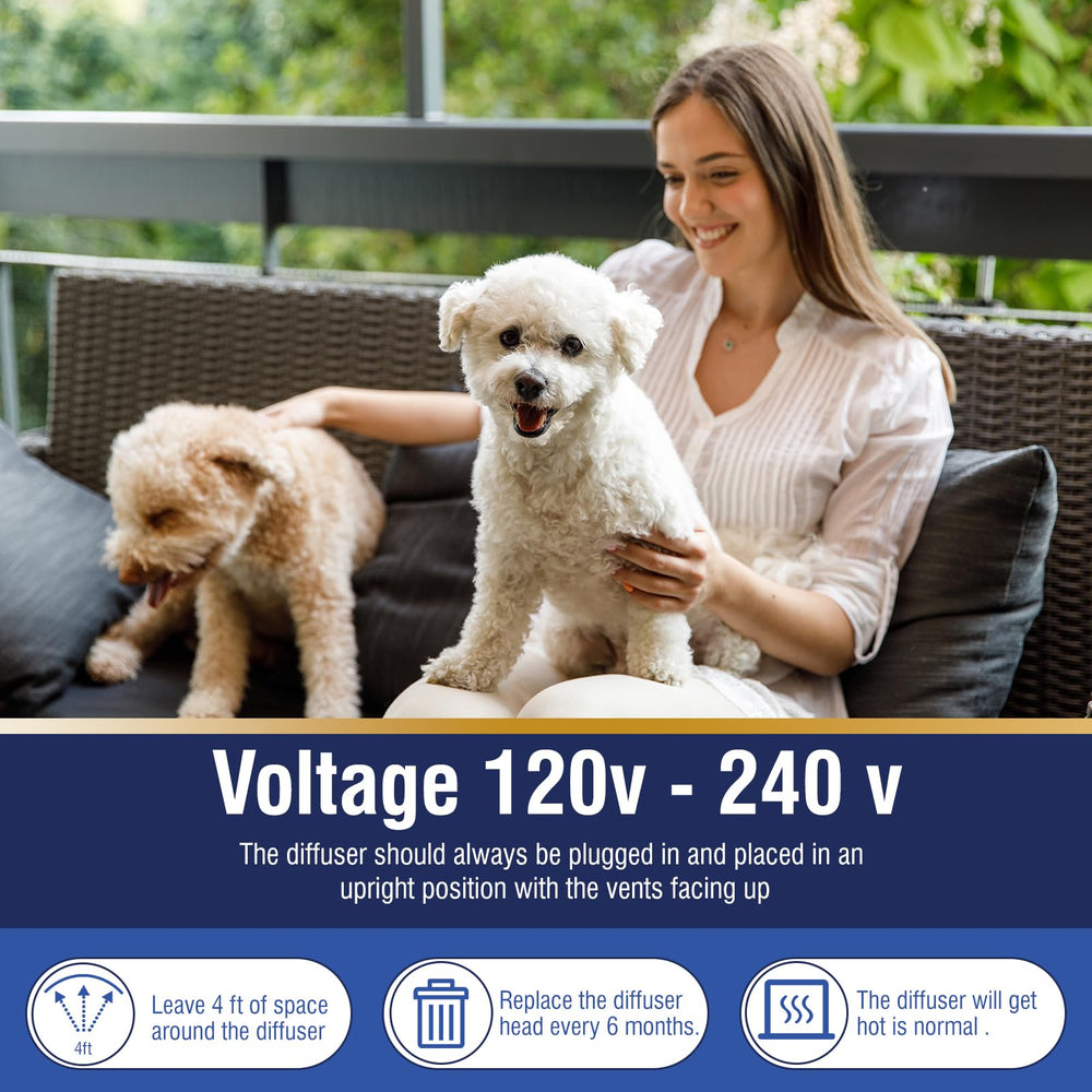 Sala hogareña con perro tranquilo gracias al difusor