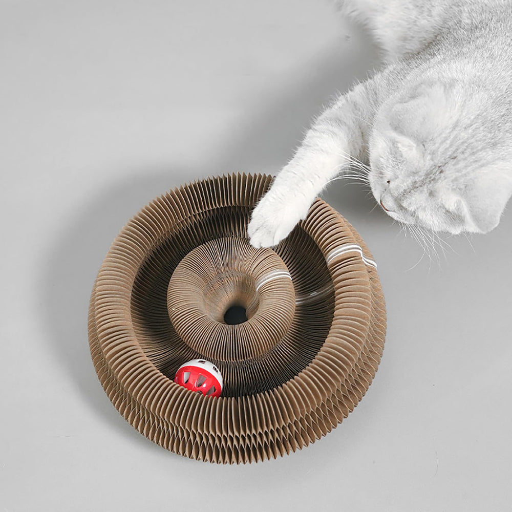 Kitty Curlz en interiores con catnip incluido para estimular el juego.