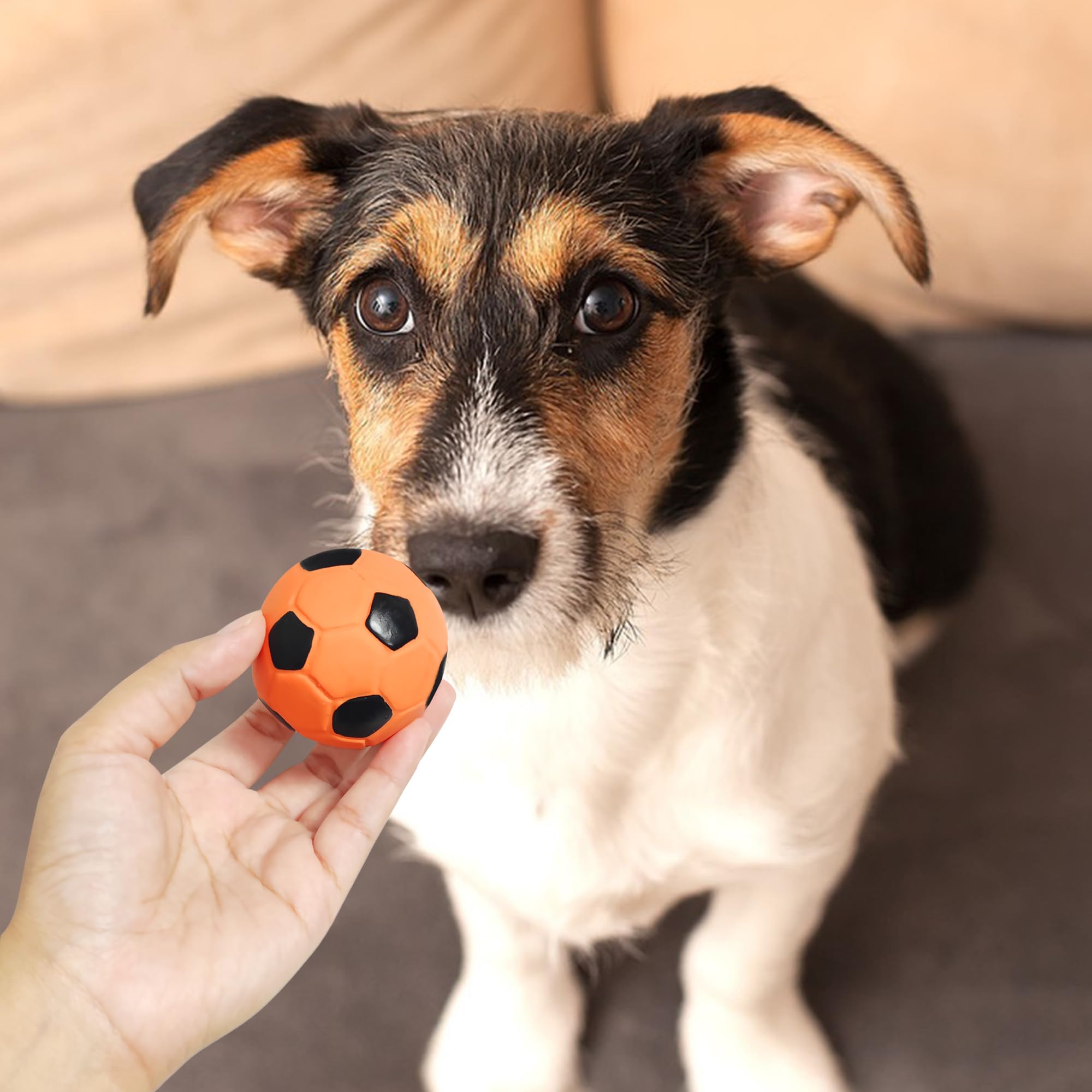 LLSPET Pelota de látex no tóxica, segura para juegos supervisados.