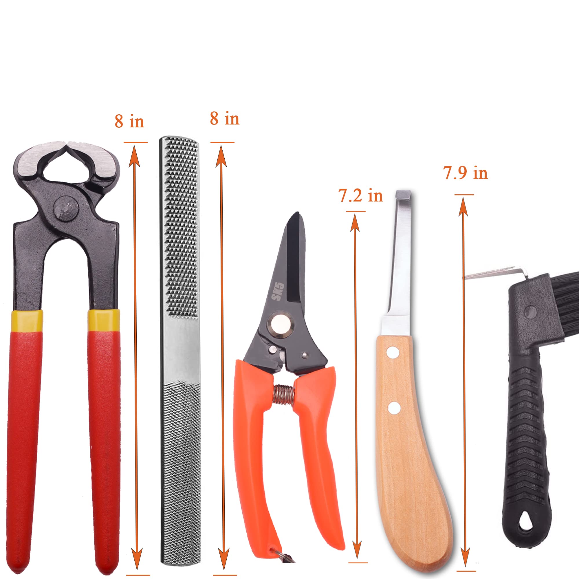 Loaged cepillo para herraduras, producto suave que facilita limpieza.