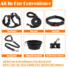 Lobeve collar y correa: conjunto práctico para caminatas diarias.