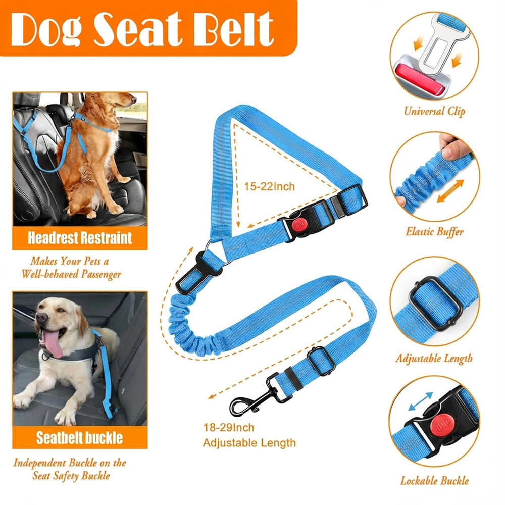 Lobeve kit completo para mascotas: todo en uno para entrenamiento y salidas diarias.