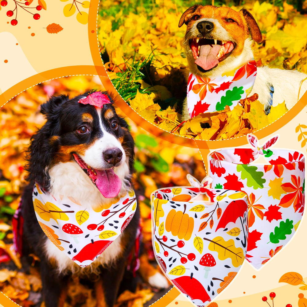 Bandanas Locmeo para fiestas de otoño, ideal para fotos y celebraciones.