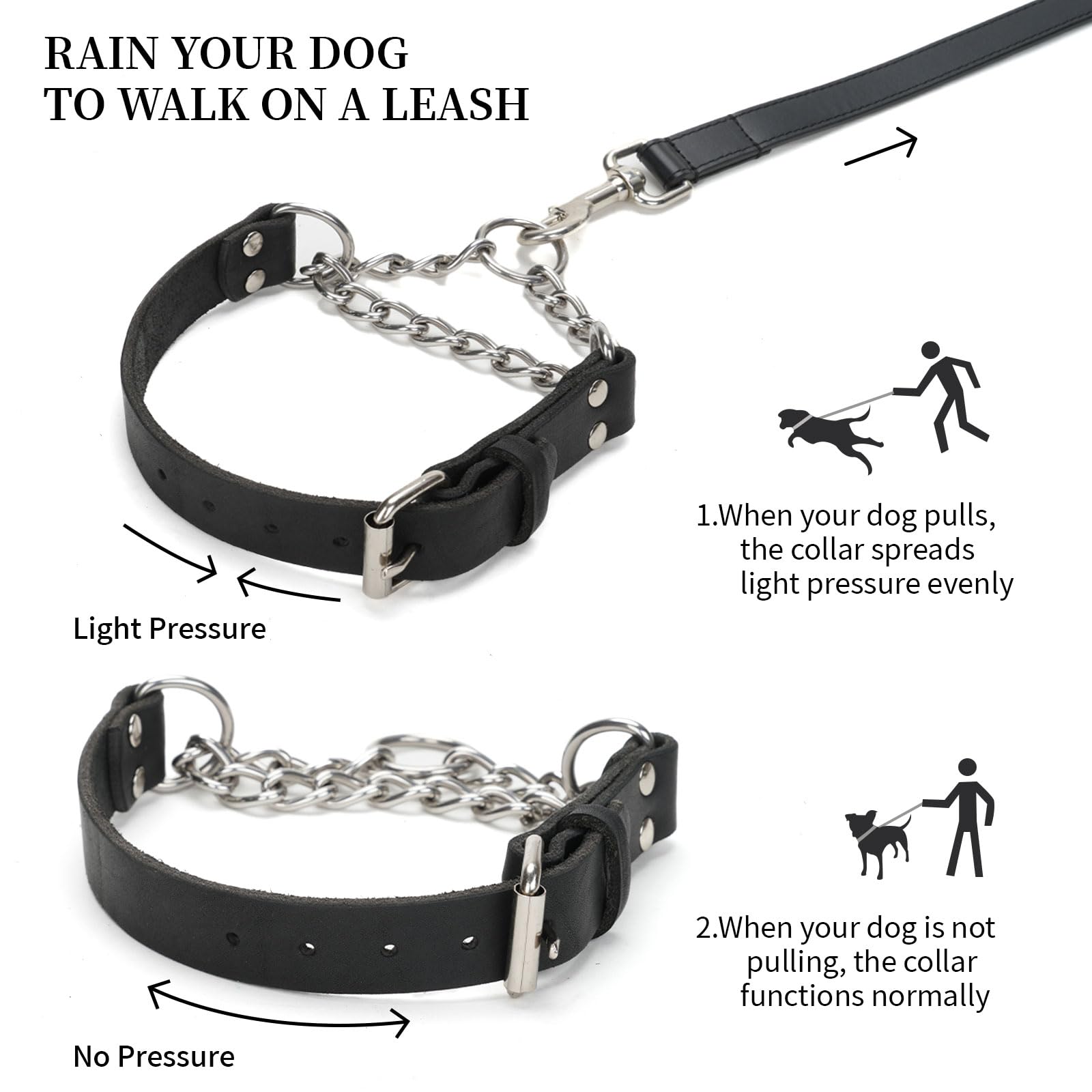 Perro con collar LOIIHEII martingale en paseo.