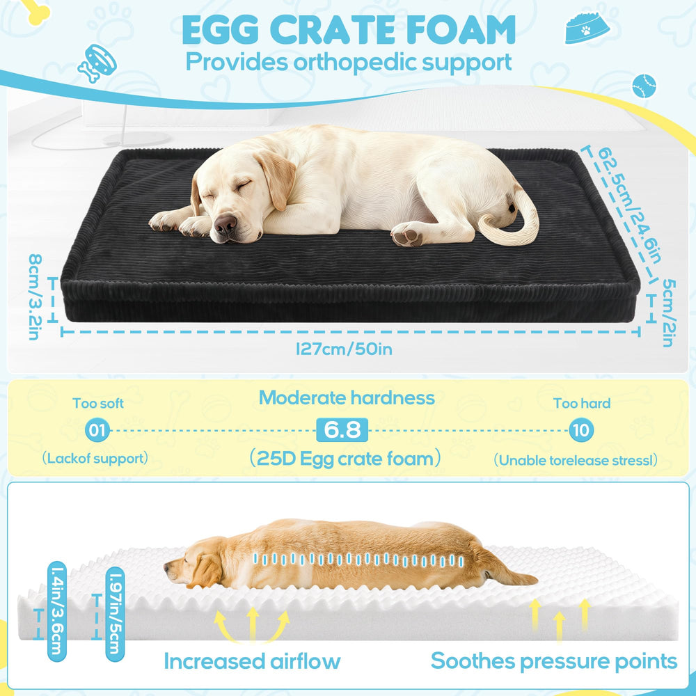 Funda lavable con cierre oculto para Loiion.