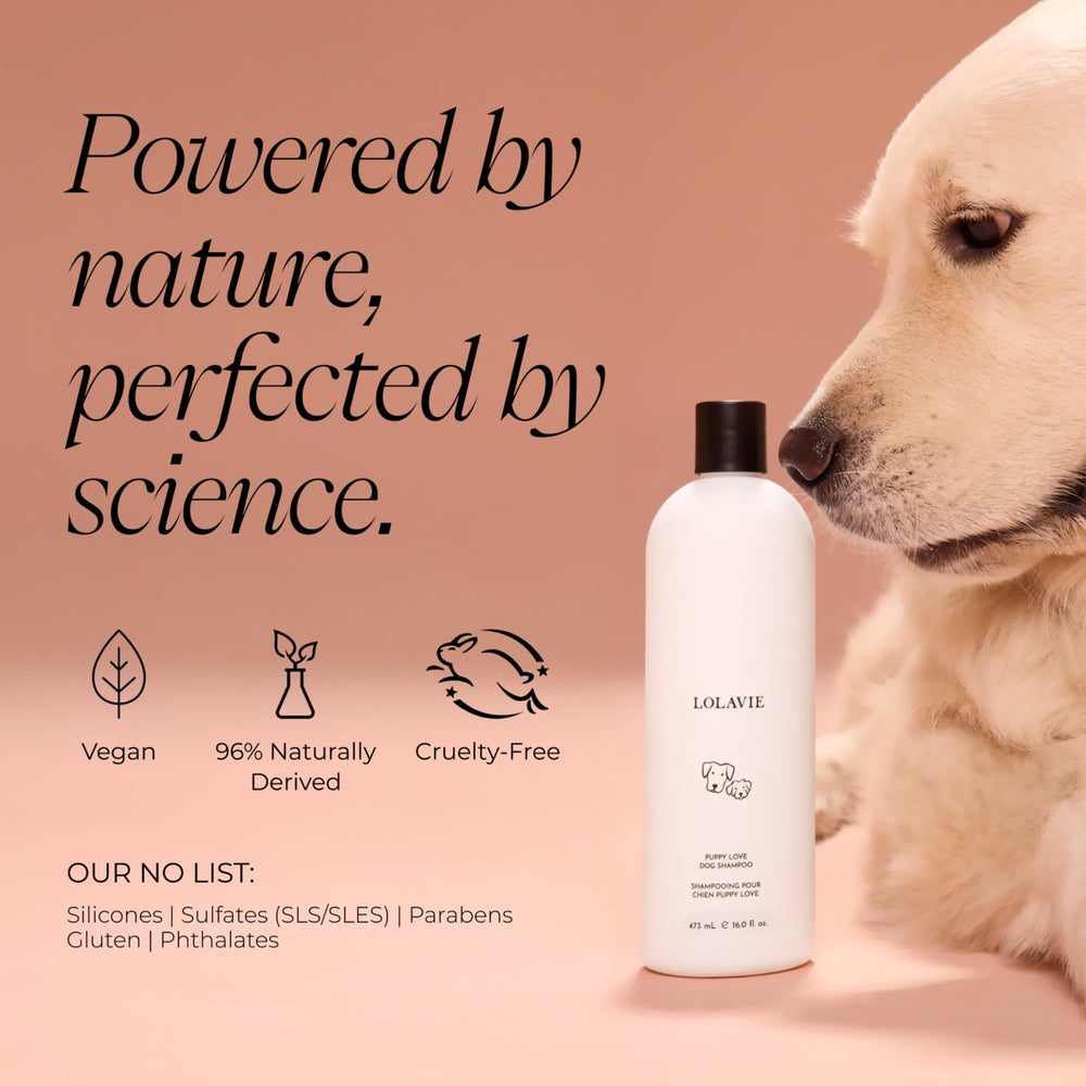 LolaVie champú fragancia suave que deja aroma agradable sin irritar