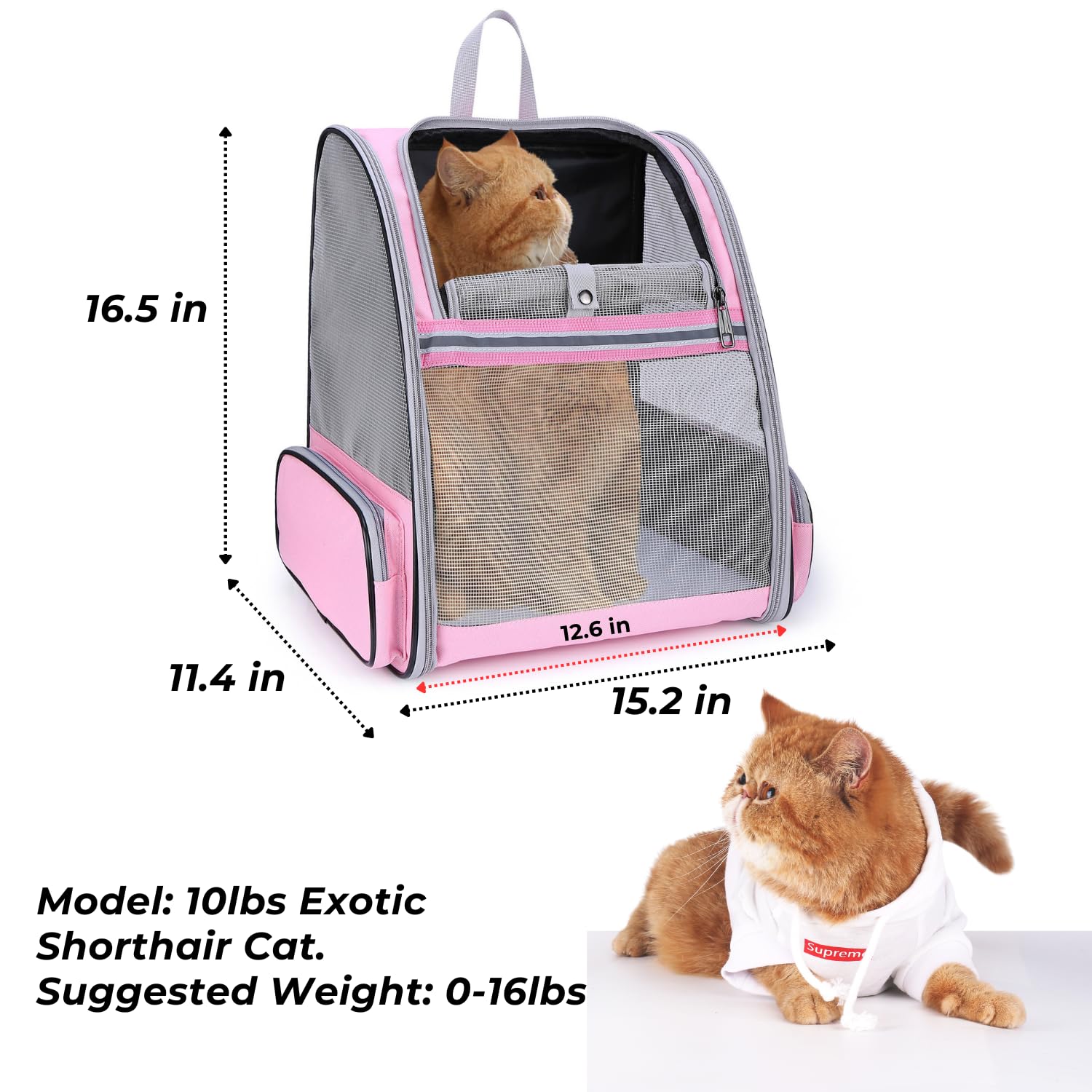 Lollimeow con cojines duales, confort para paseos y vuelos cortos.