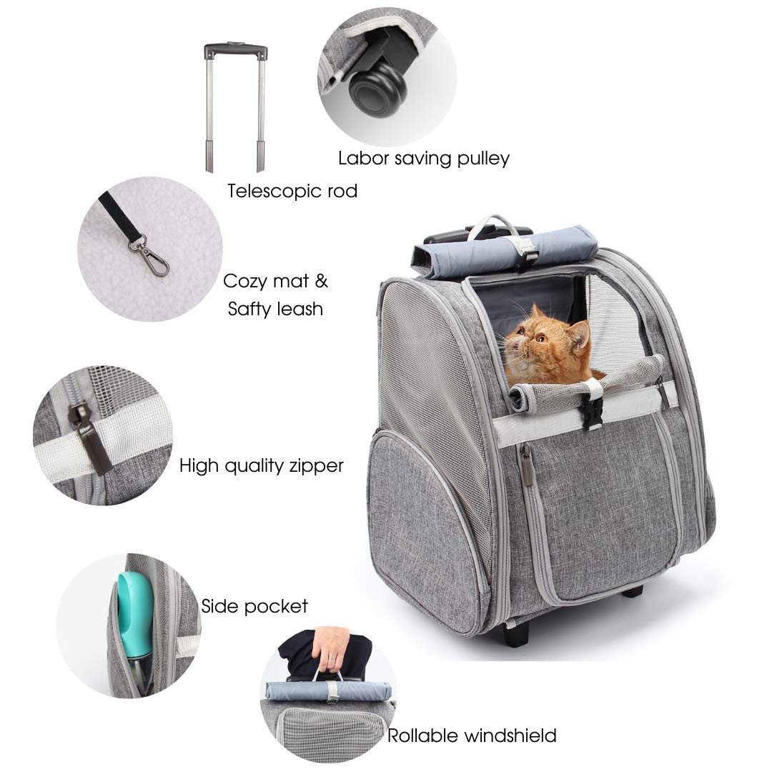 Malla de ventilación Lollimeow, tres caras, aire fresco y visibilidad para tu mascota.