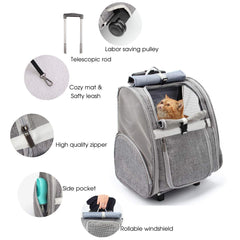 Malla de ventilación Lollimeow, tres caras, aire fresco y visibilidad para tu mascota.