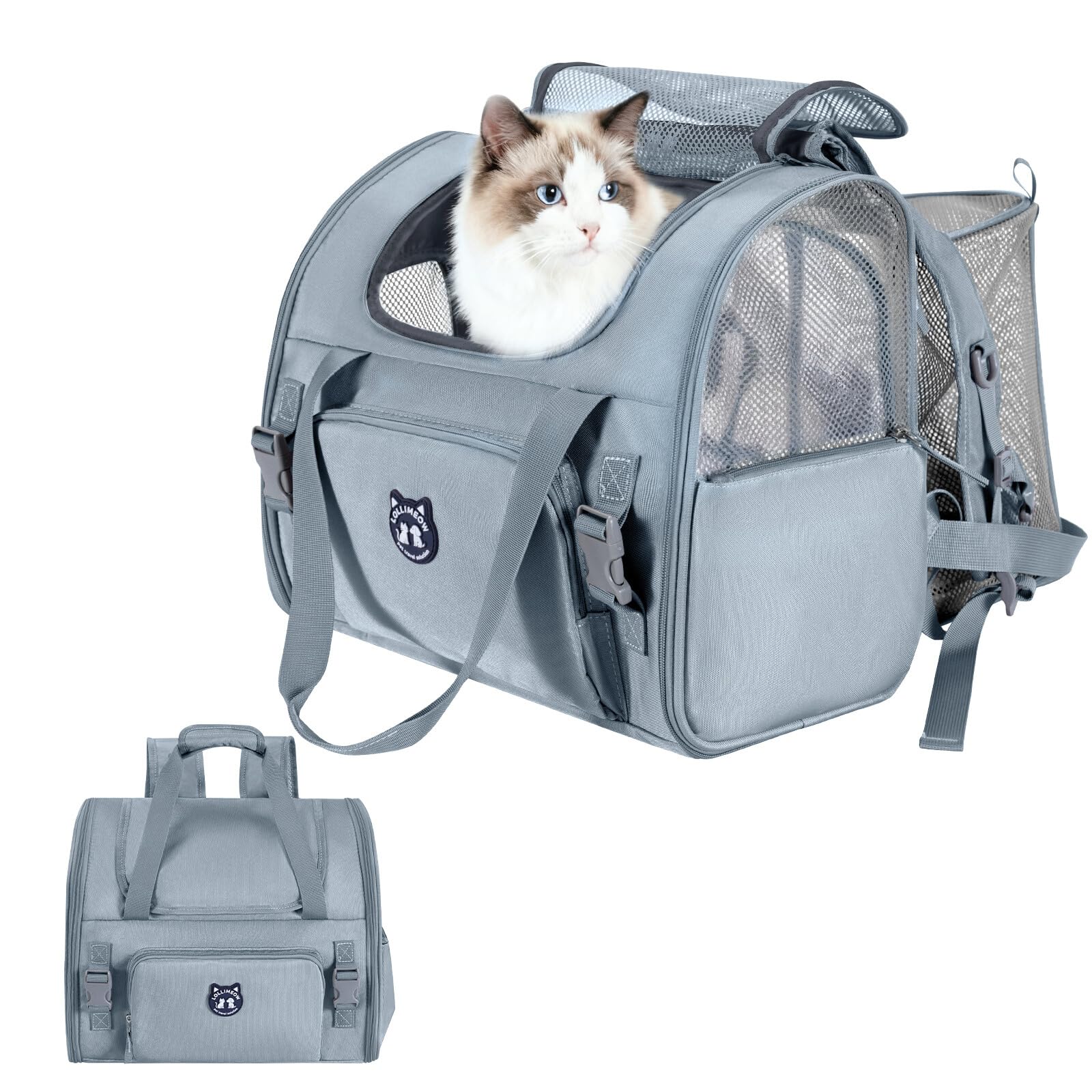 Mochila expandible Lollimeow para gatos con ventana frontal, ideal para exploración segura.