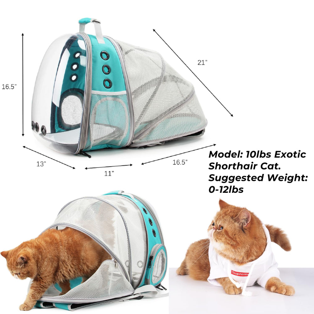 La base rígida de la mochila Lollimeow garantiza estabilidad en superficies irregulares.