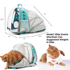 La base rígida de la mochila Lollimeow garantiza estabilidad en superficies irregulares.