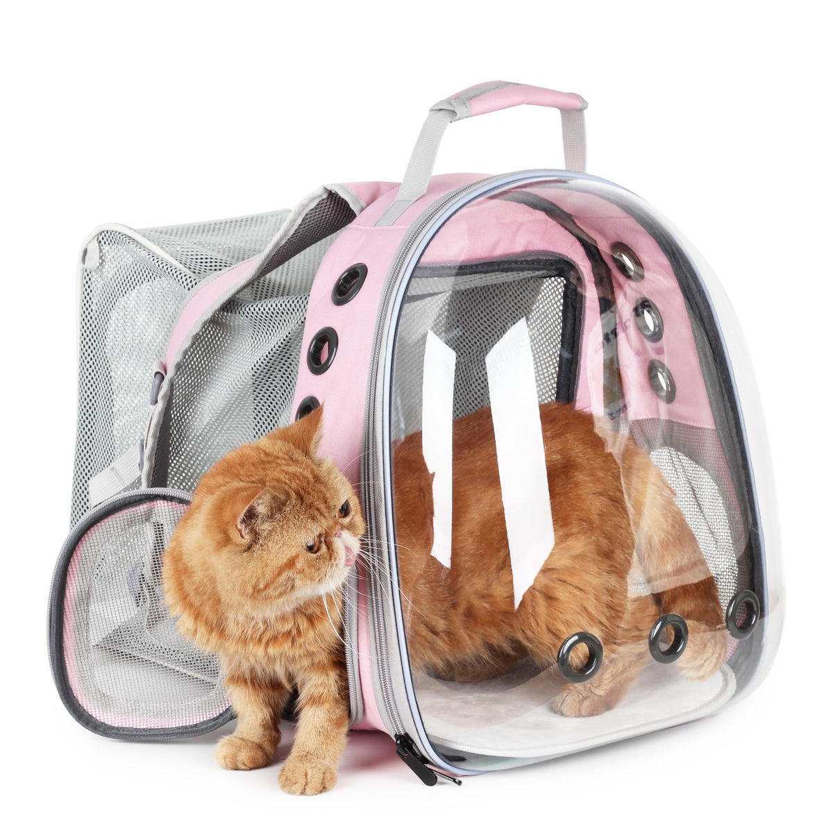 Mochila LOLLIMEOW con ventana burbuja para observar durante paseos