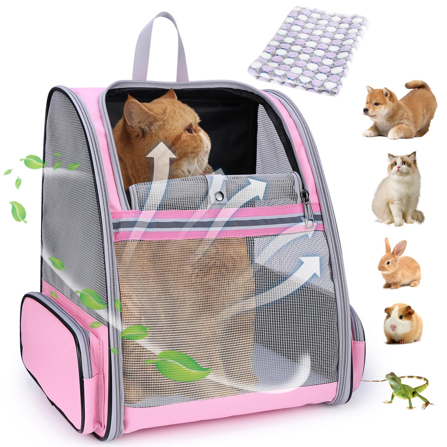 Mochila Lollimeow para gato con malla transpirable, ideal para viajes.