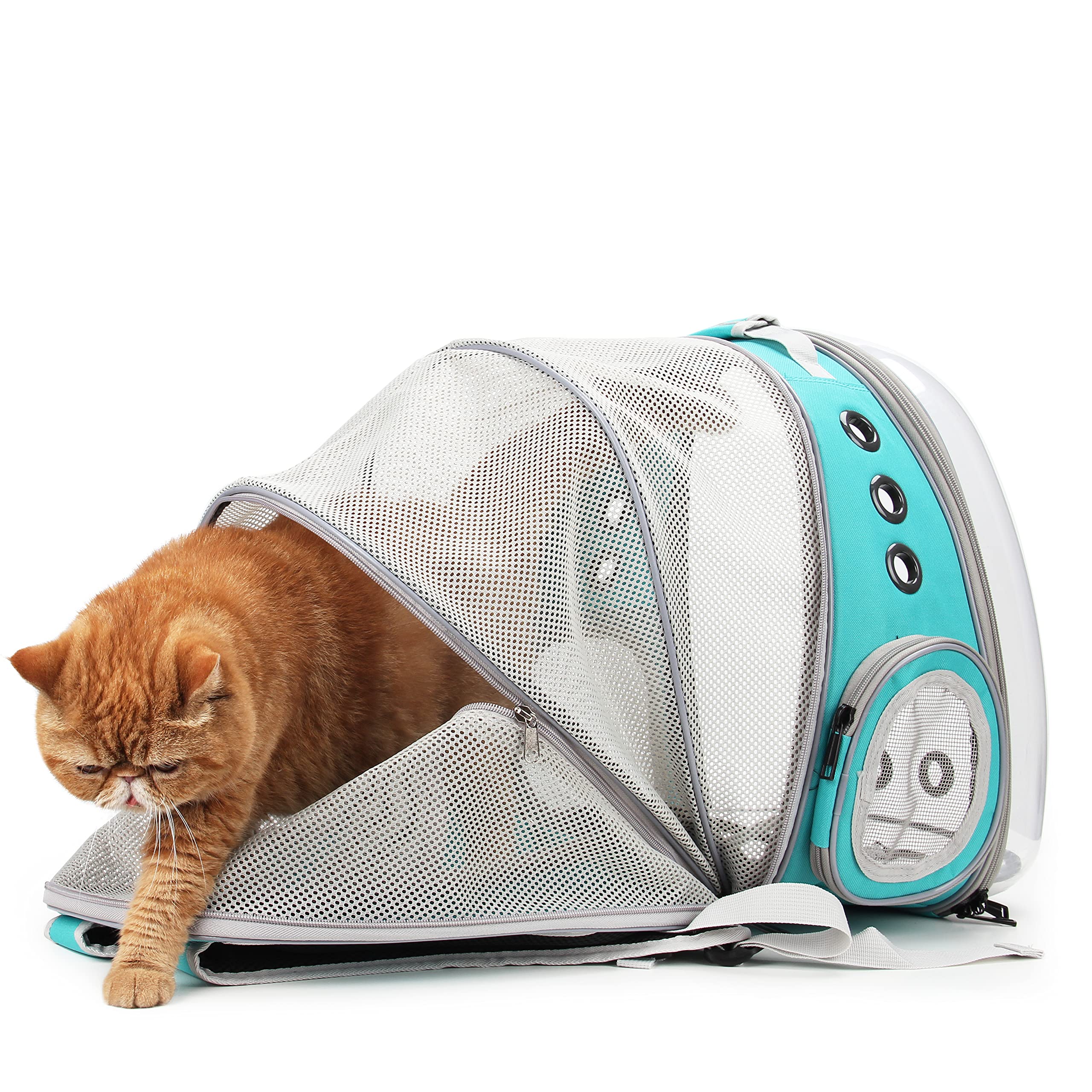 La mochila Lollimeow facilita la organización de snacks y accesorios para la aventura.