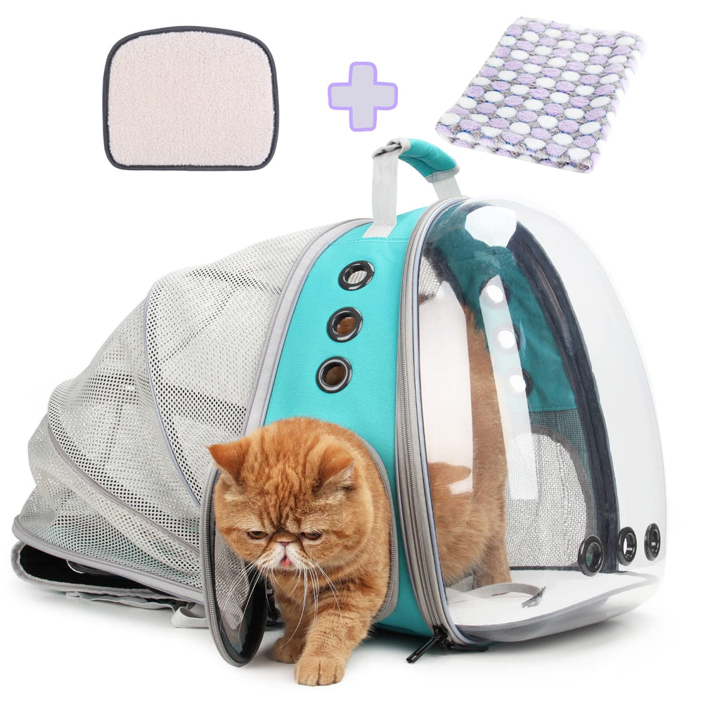 La mochila Lollimeow para gatos ofrece una ventana-burbuja para observación segura durante viajes.