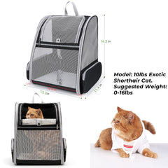 Porta-mascotas-gato-cojin-doble-lado de Lollimeow: comodidad adicional en cada viaje.