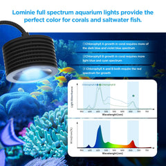 Lominie LED acuario control de brillo para ajustar intensidad.