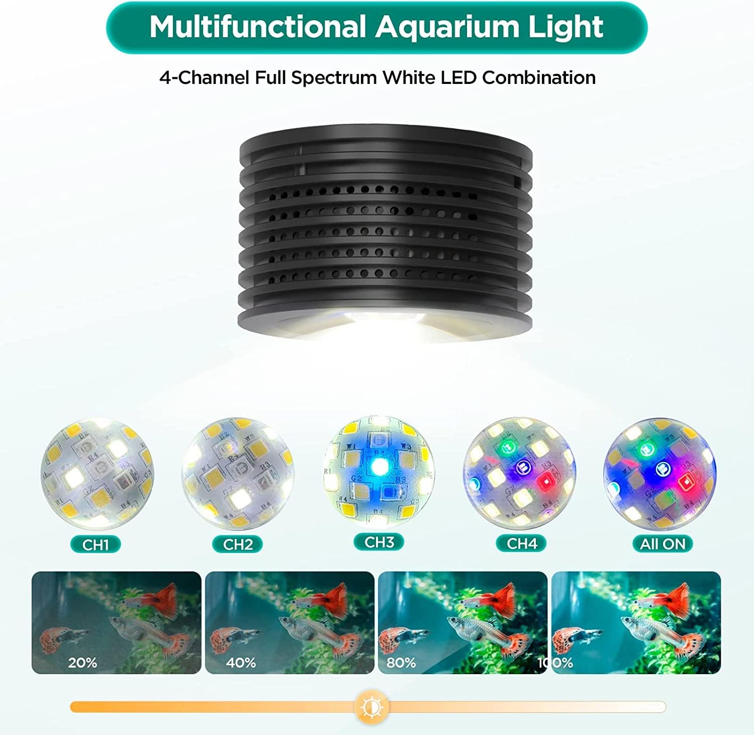 Lominie iluminación con ciclo natural 24/7 para día y noche.