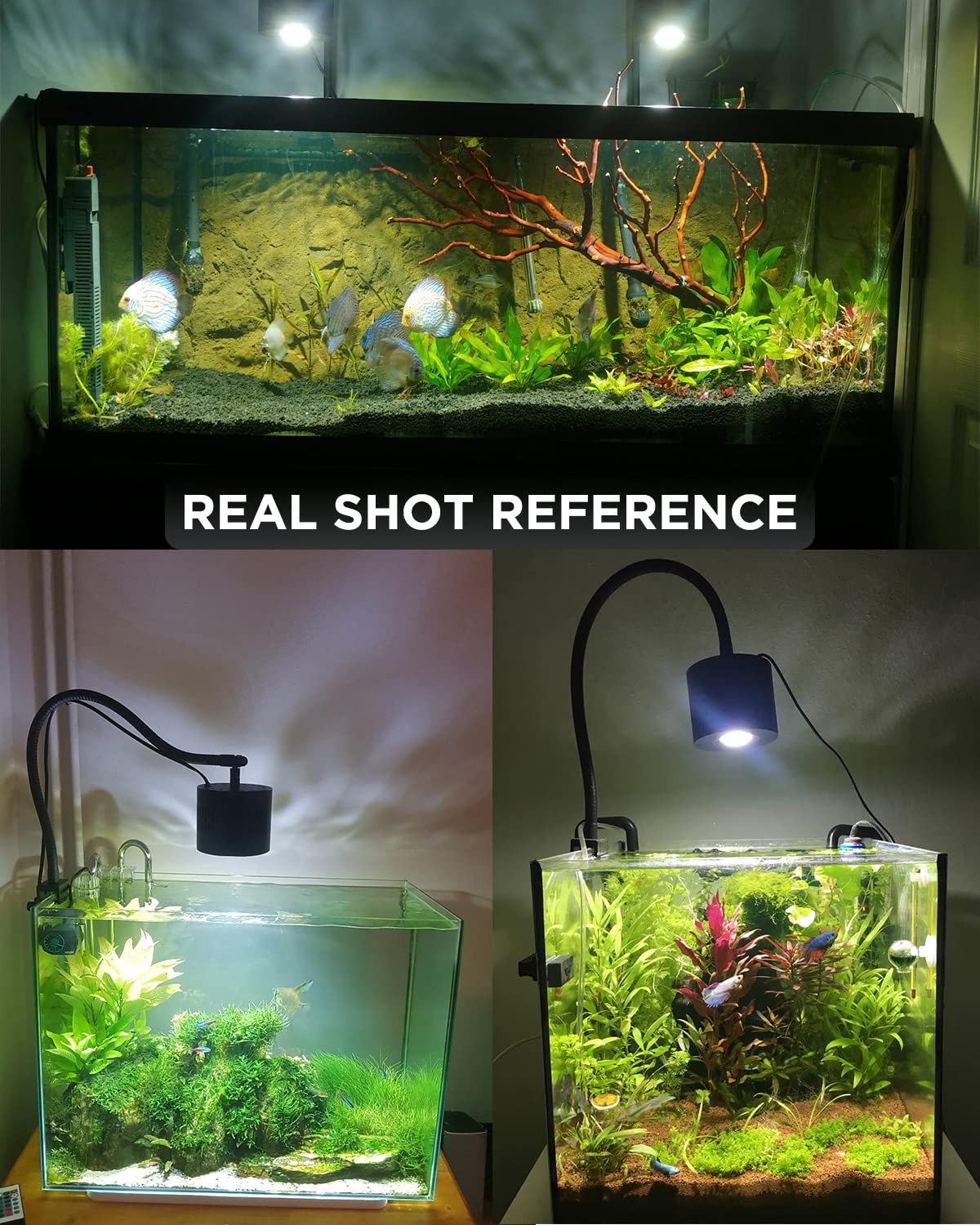 Lominie iluminación para plantas y peces, ideal para acuarios de agua dulce.