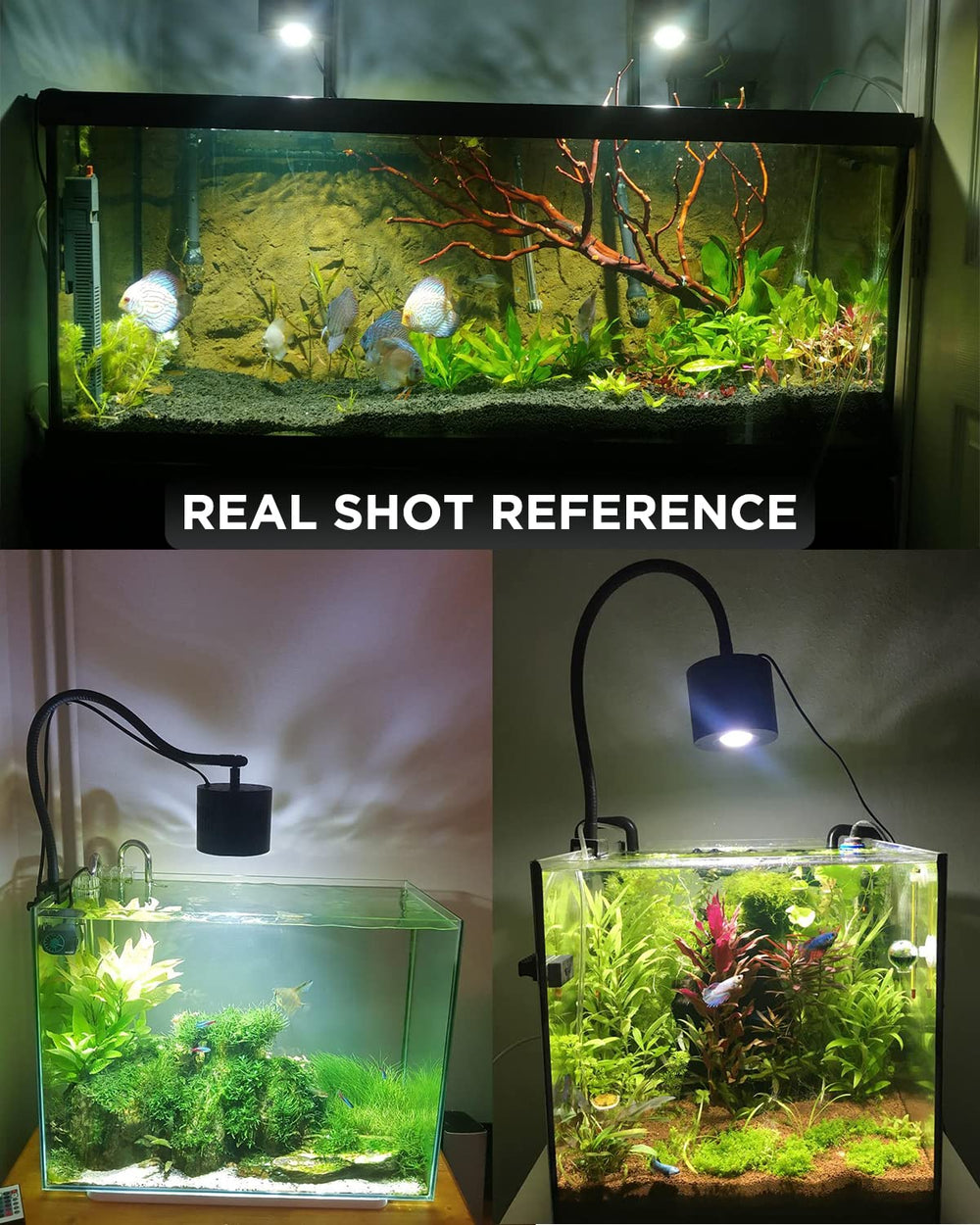 Lominie iluminación para plantas y peces, ideal para acuarios de agua dulce.