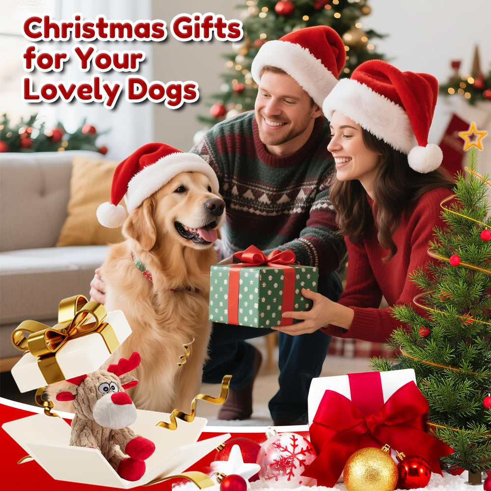 Juguete Loncoldy interactivo para perros grandes, ideal para juegos en casa