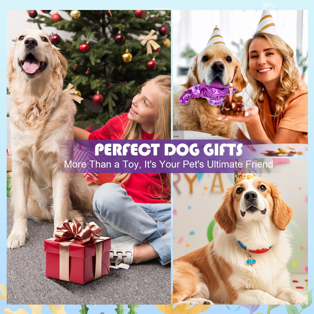loncoldy regalo perfecto para cumpleaños o Navidad de tu perro