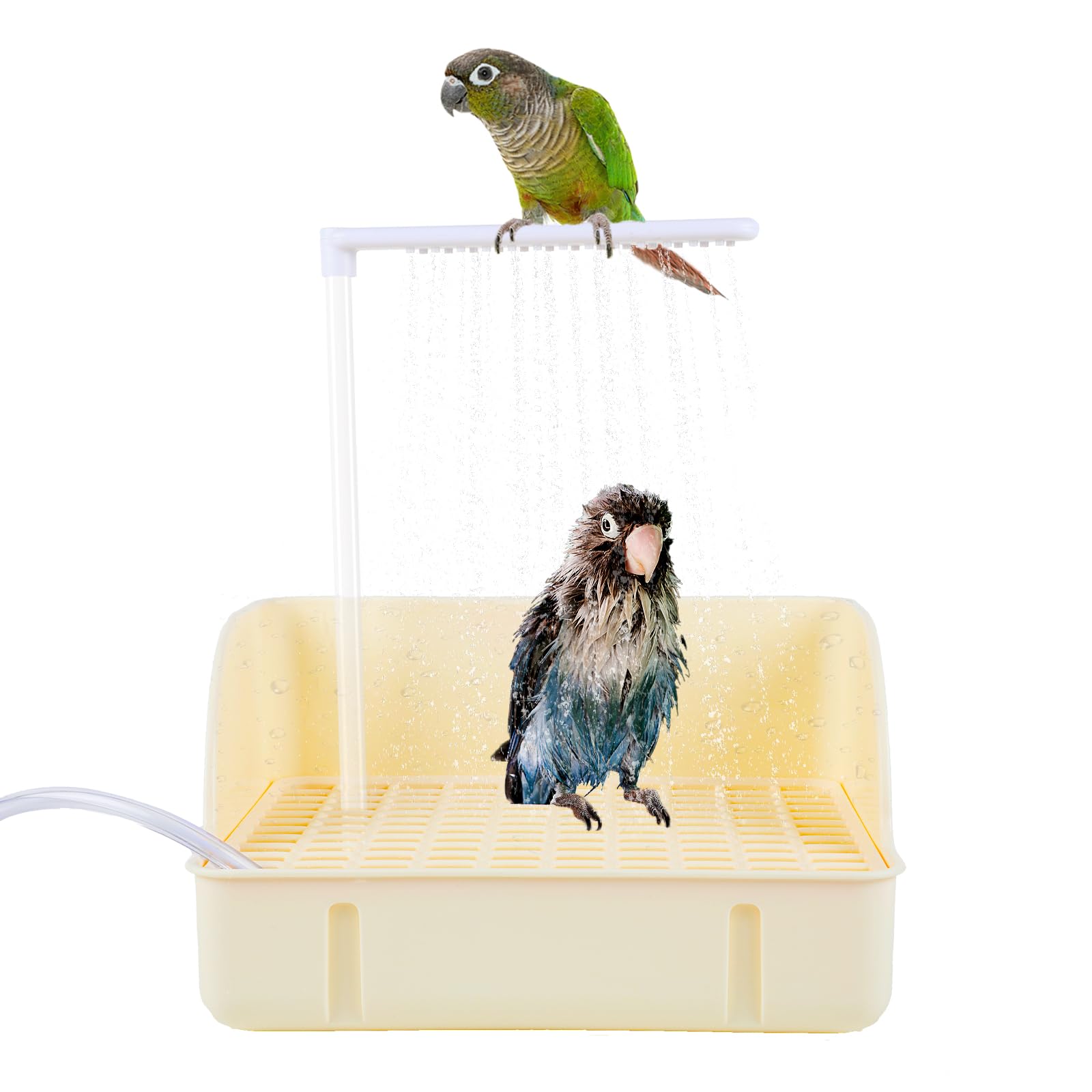 Bañera Lonepetu con bomba para aves y flujo estable.