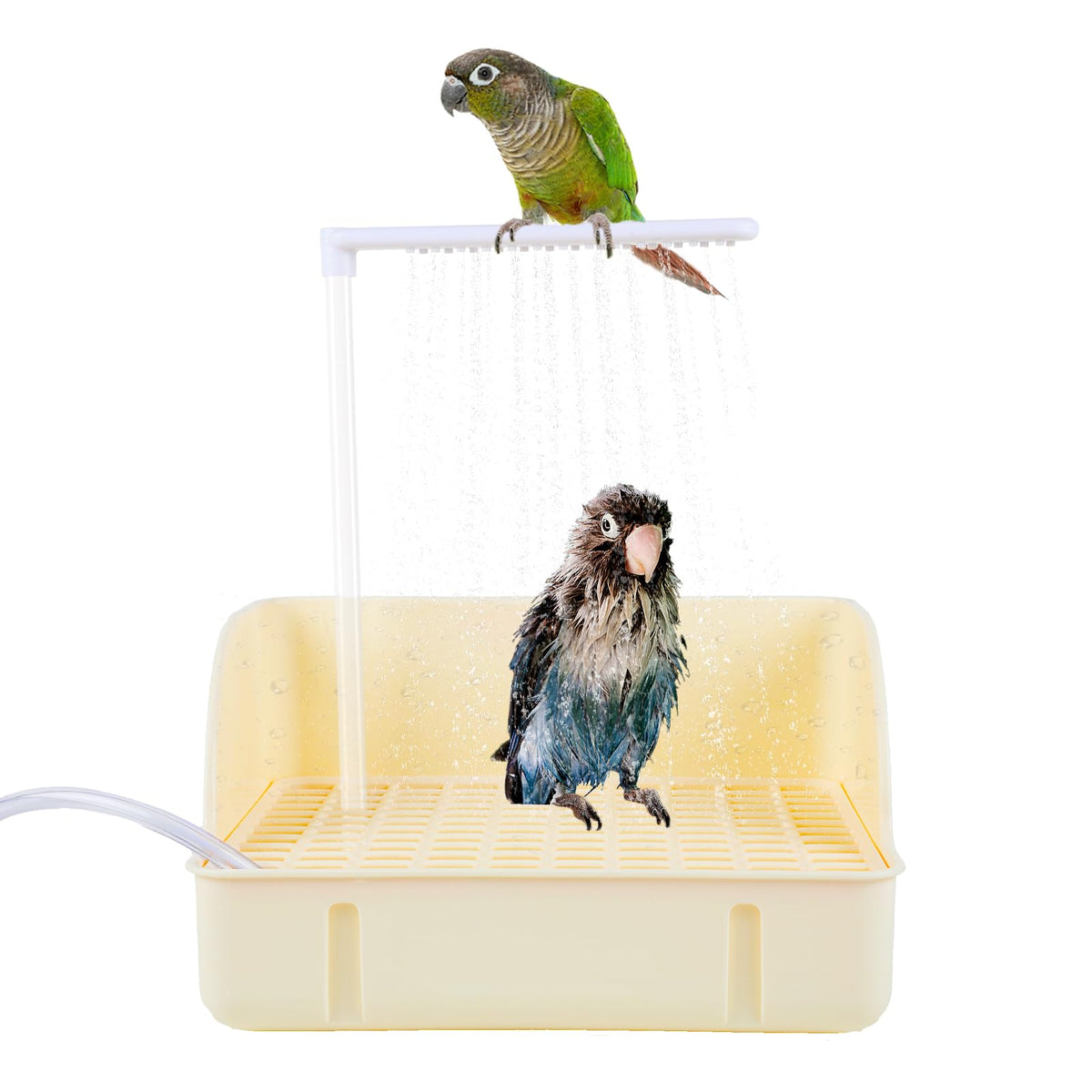 Bañera Lonepetu con bomba para aves y flujo estable.