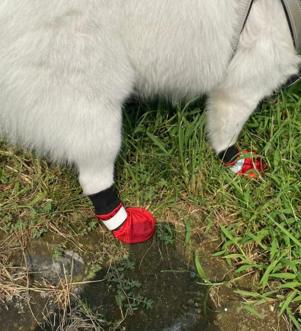 LONSUNEER botas invierno para perros: protección de patas en exterior.