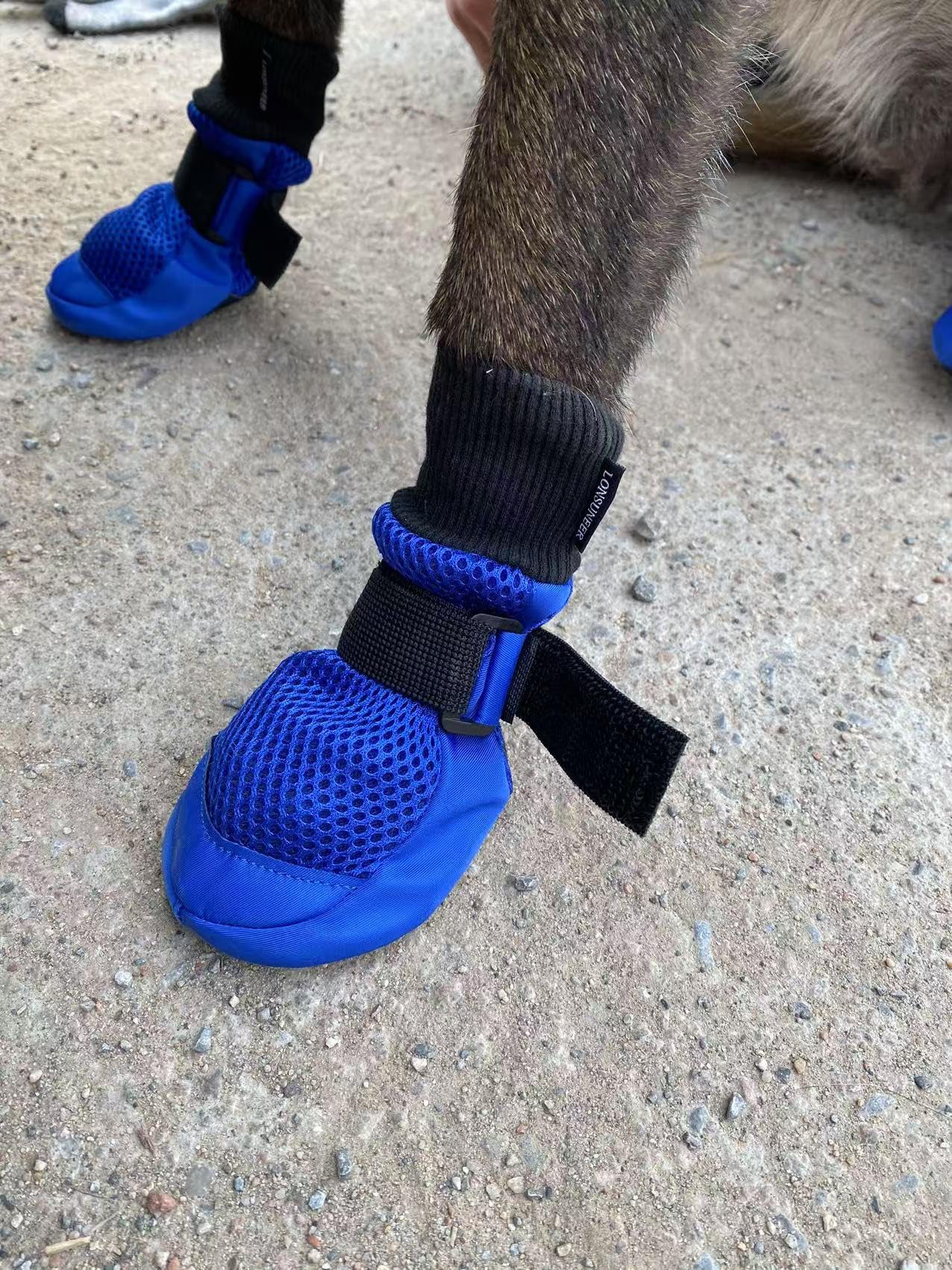 LONSUNEER botas para perros transpirables en azul brindan comodidad
