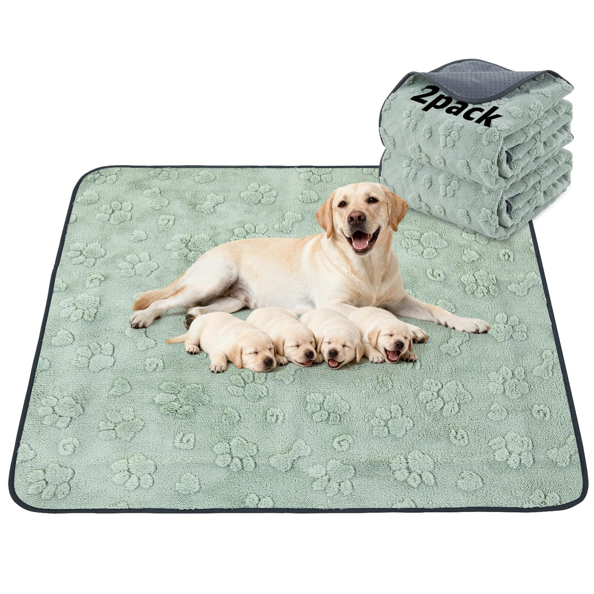 LOOBANI almohadillas de entrenamiento para perros con absorción superior mantienen el suelo seco.